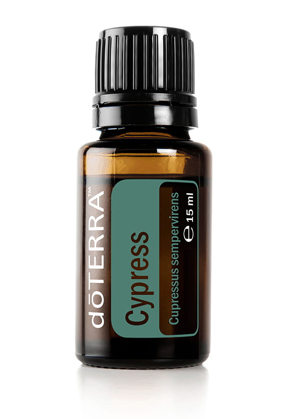 doTERRA Zypresse